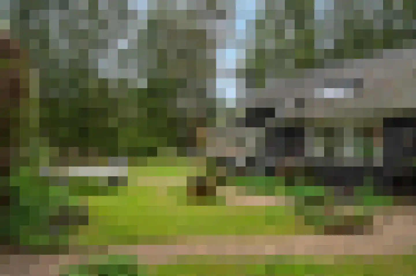 Zandrivier 8 Zeegse thumbnail 5