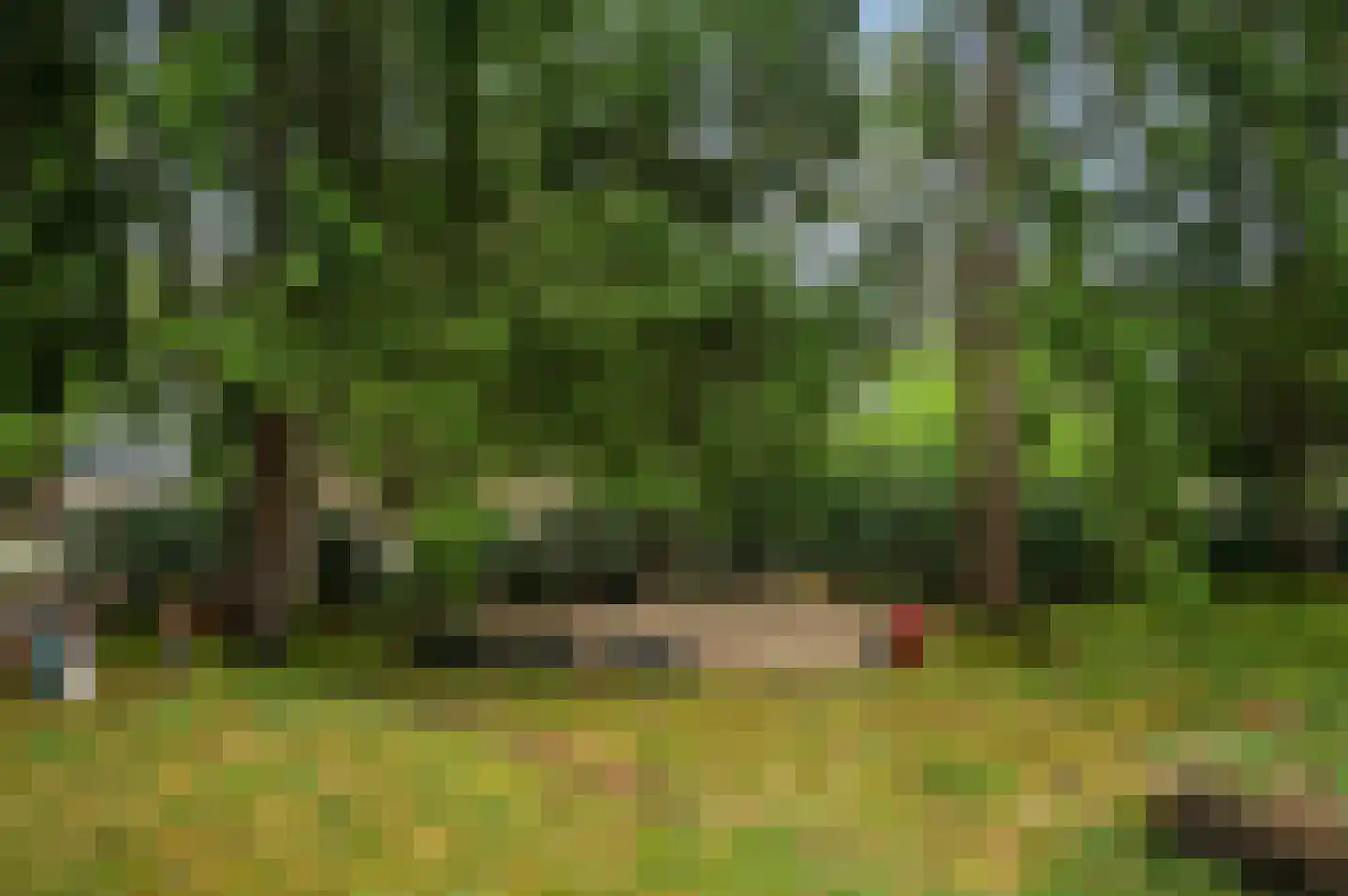 Zandrivier 8 Zeegse thumbnail 50