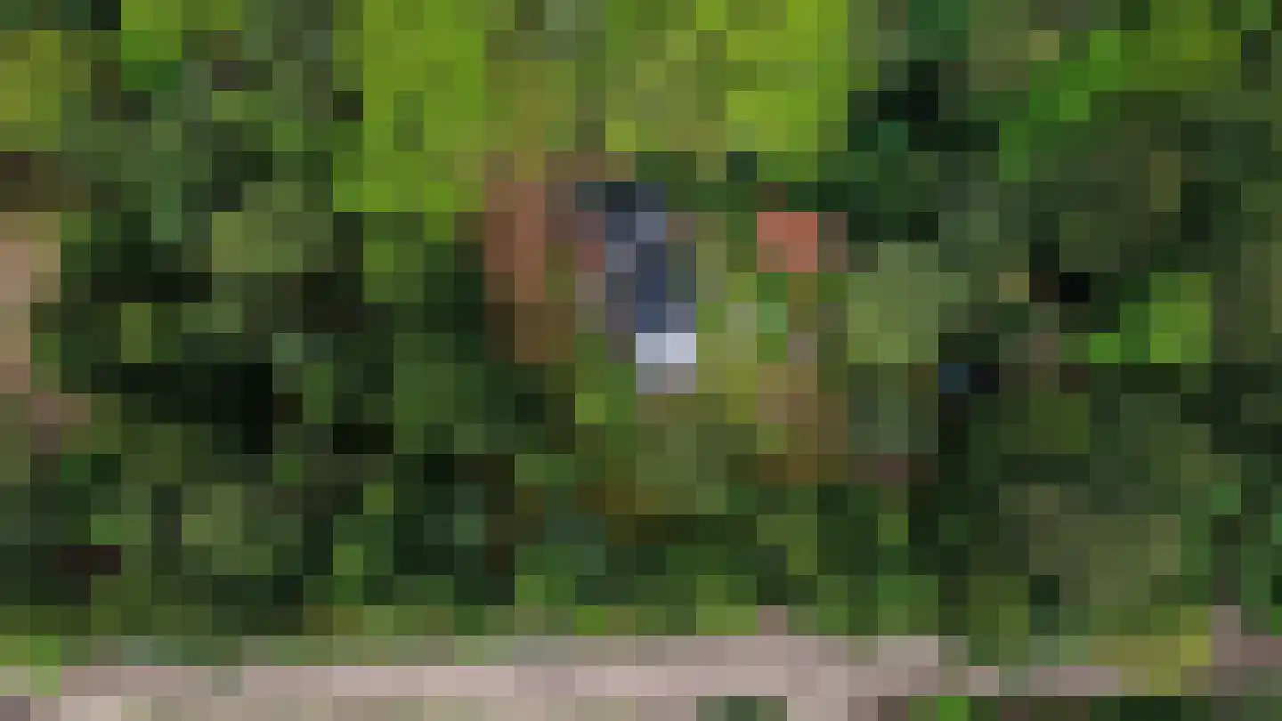 Zandrivier 8 Zeegse thumbnail 51