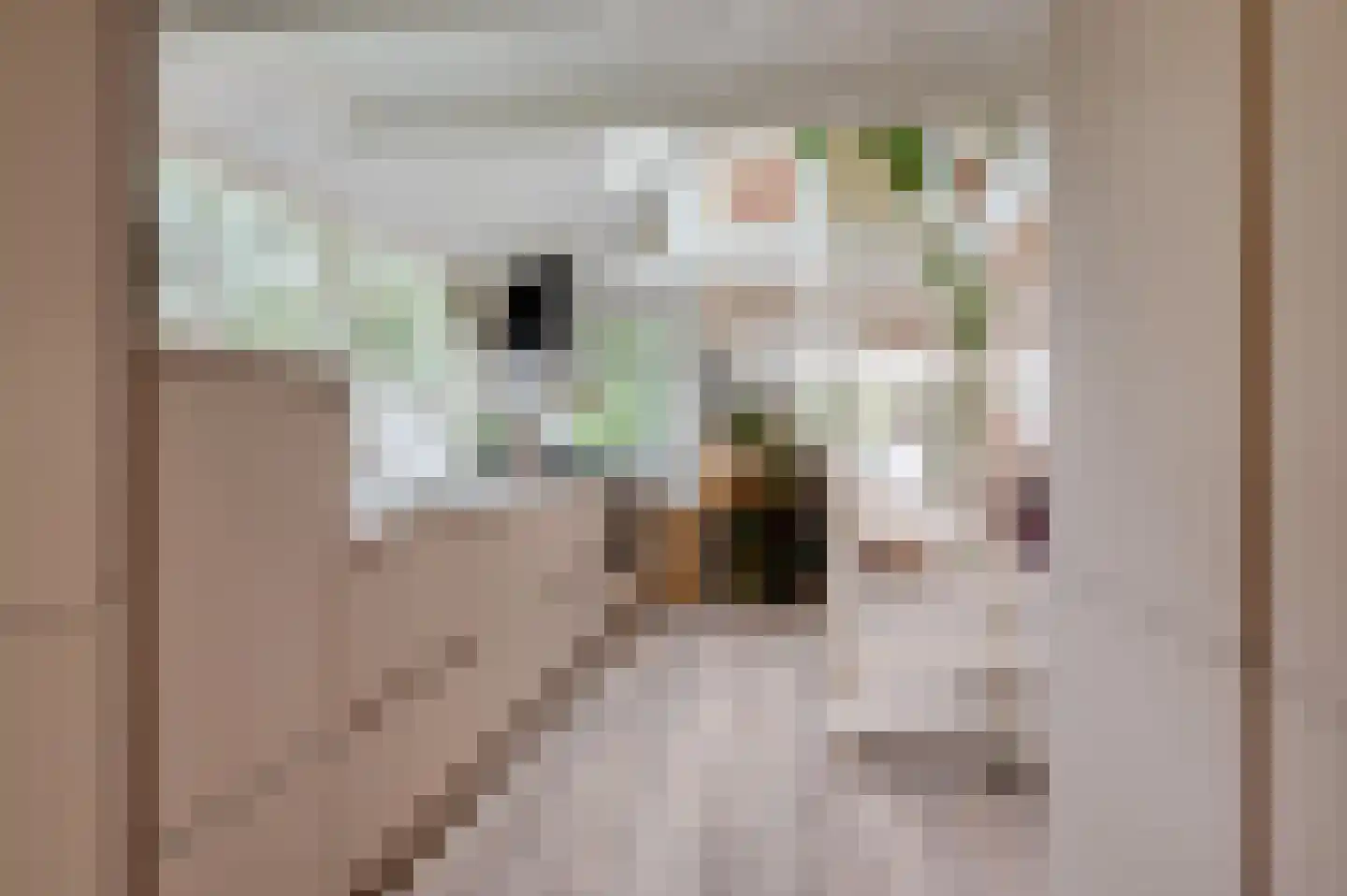 Zandrivier 8 Zeegse thumbnail 7
