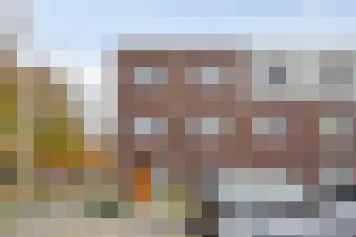 Zandroos 1 in Eindhoven