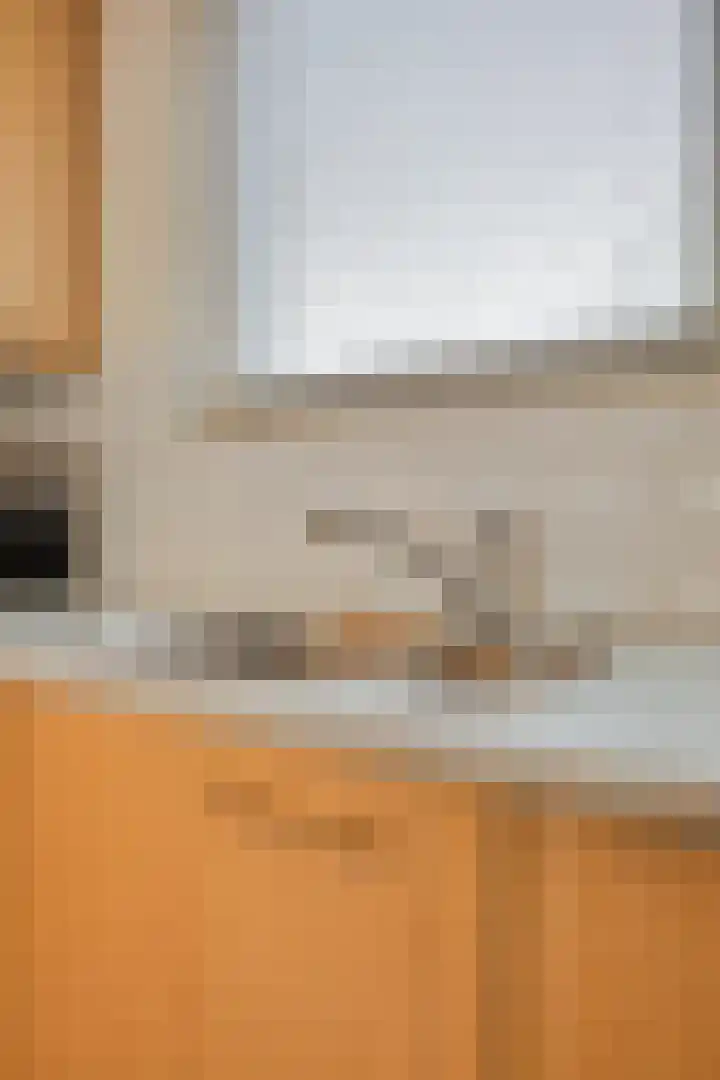 Zandroos 1 Eindhoven thumbnail 18