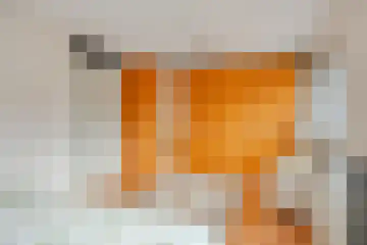 Zandroos 1 Eindhoven thumbnail 21