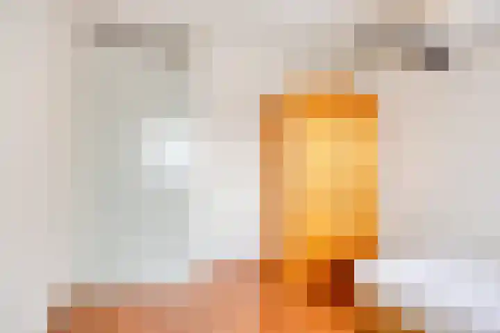 Zandroos 1 Eindhoven thumbnail 33