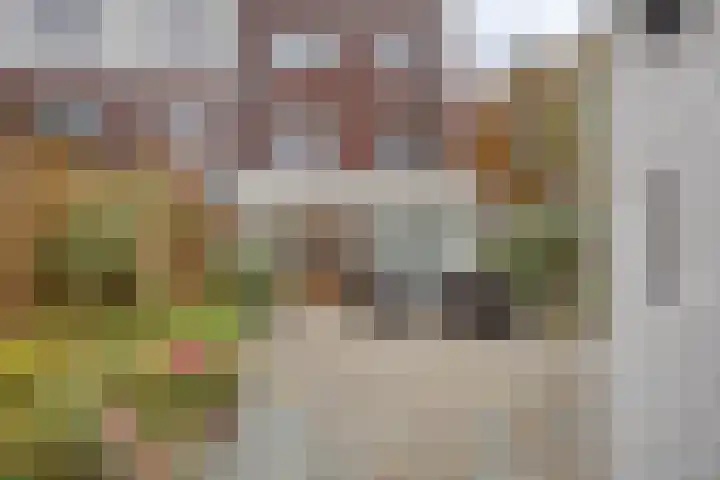 Zandroos 1 Eindhoven thumbnail 38