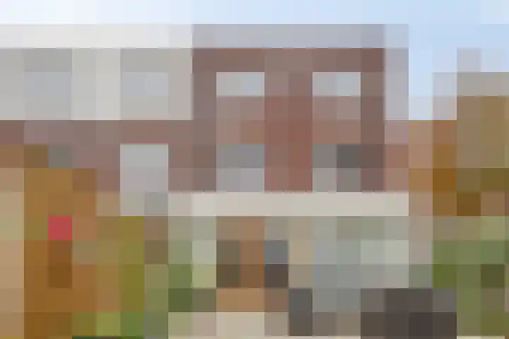 Zandroos 1 Eindhoven thumbnail 39