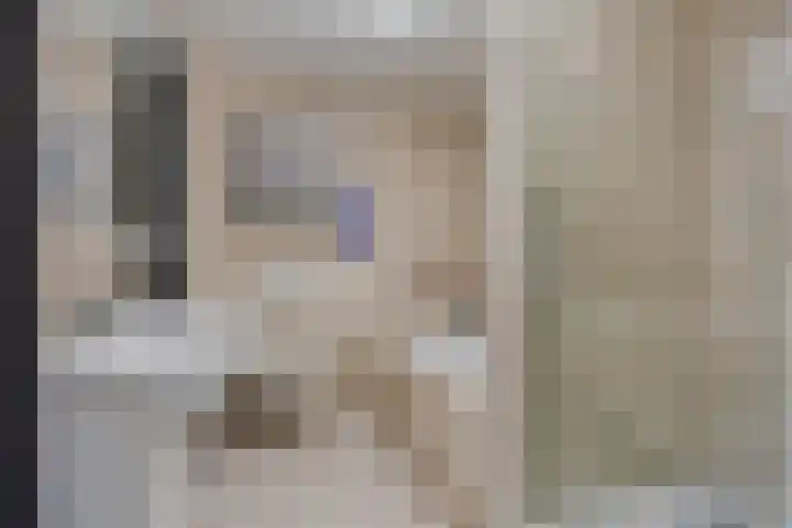 Zandroos 1 Eindhoven thumbnail 4