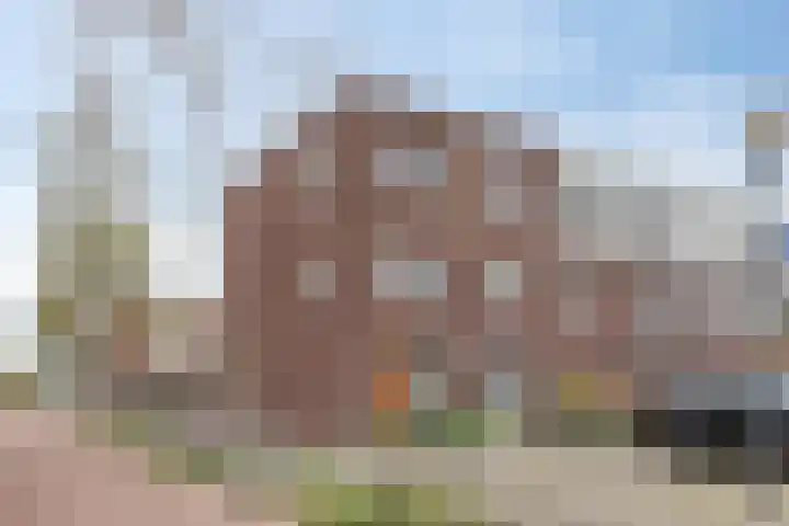 Zandroos 1 Eindhoven thumbnail 6