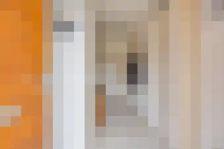 Zandroos 1 Eindhoven thumbnail 8