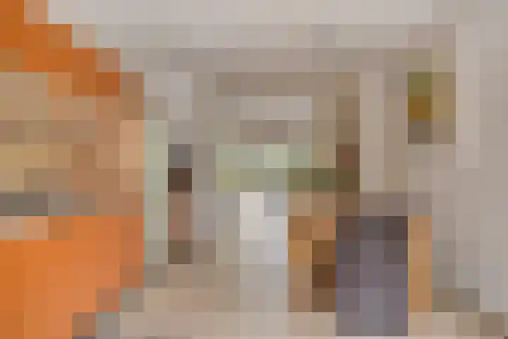 Zandroos 30 Eindhoven thumbnail 10