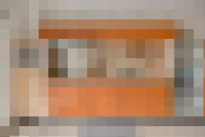 Zandroos 30 Eindhoven thumbnail 11