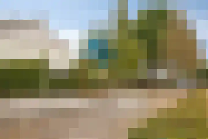 Zandroos 30 Eindhoven thumbnail 25
