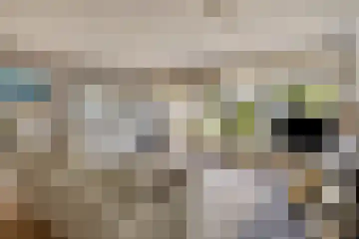 Zandroos 30 Eindhoven thumbnail 4