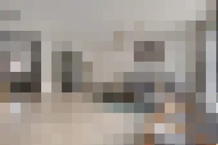 Zandroos 52 Eindhoven thumbnail 10