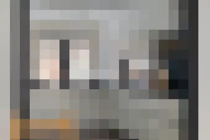 Zandroos 52 Eindhoven thumbnail 14