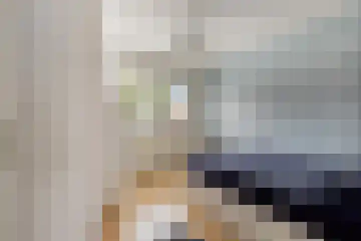 Zandroos 52 Eindhoven thumbnail 22