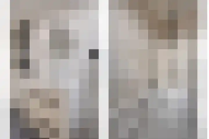 Zandroos 52 Eindhoven thumbnail 26