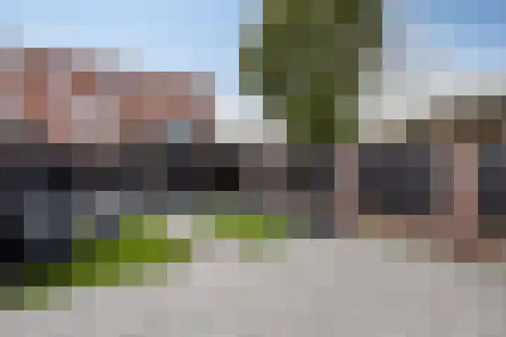 Zandroos 52 Eindhoven thumbnail 29