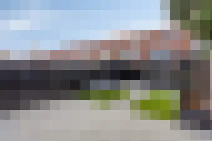 Zandroos 52 Eindhoven thumbnail 30