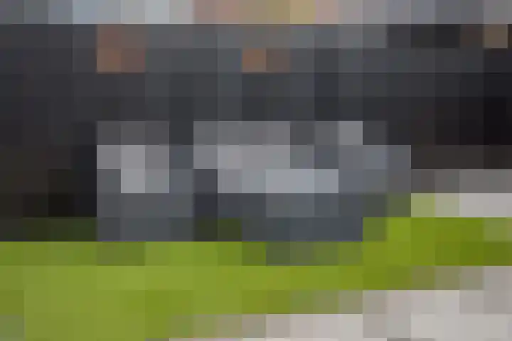 Zandroos 52 Eindhoven thumbnail 31