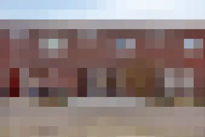 Zandroos 52 Eindhoven thumbnail 32