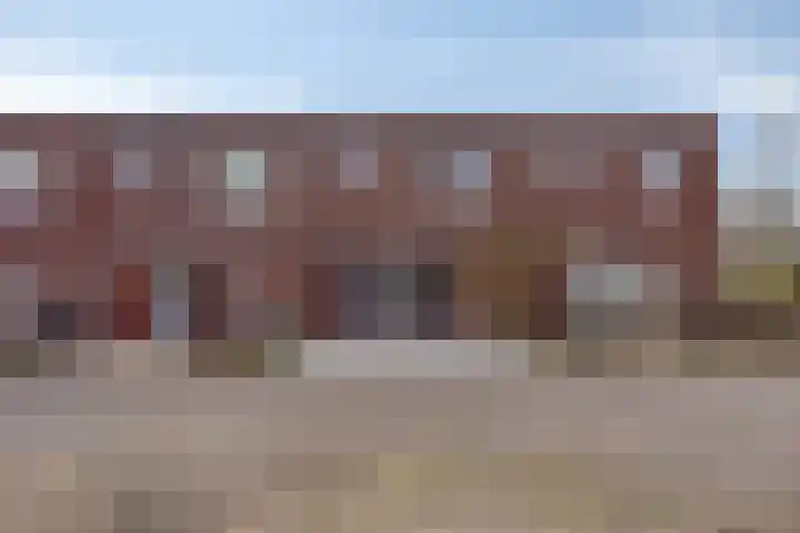 Zandroos 52 Eindhoven thumbnail 33