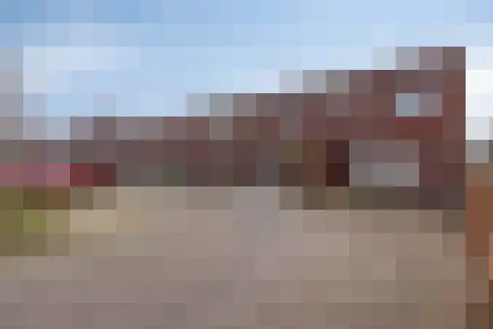 Zandroos 52 Eindhoven thumbnail 34