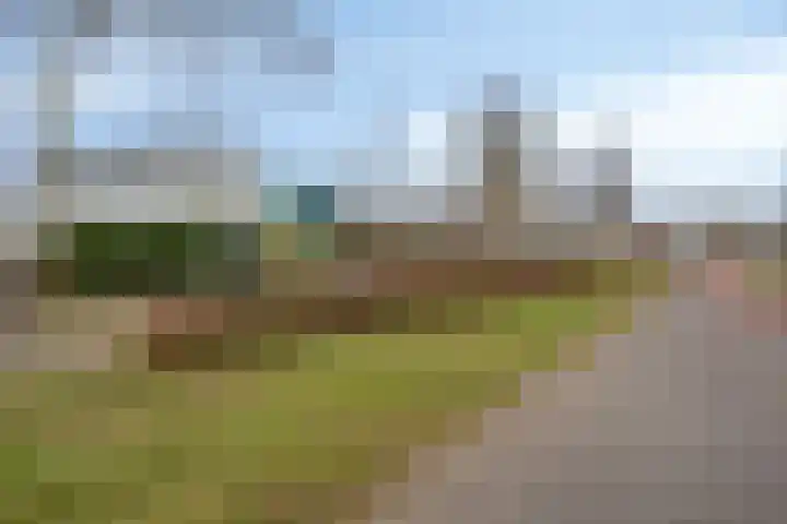 Zandroos 52 Eindhoven thumbnail 35