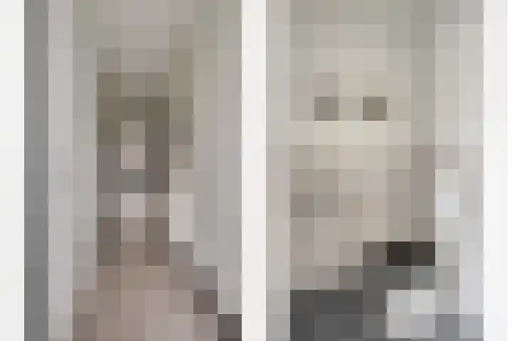 Zandroos 52 Eindhoven thumbnail 6