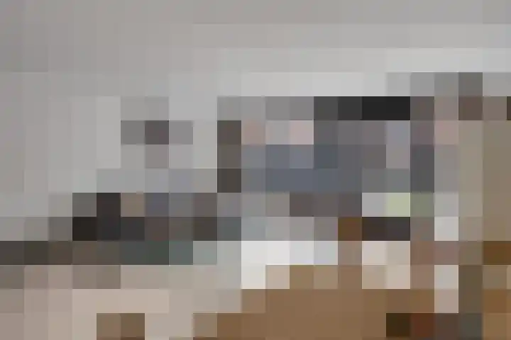Zandroos 52 Eindhoven thumbnail 8