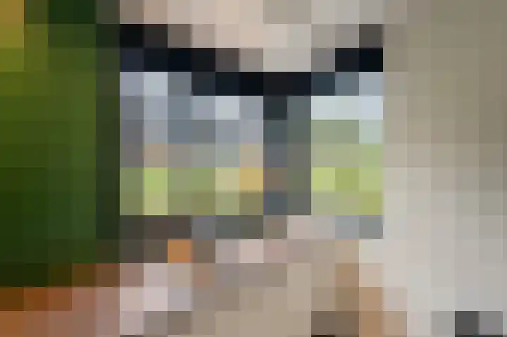 Zandrug 15 Kampen thumbnail 21