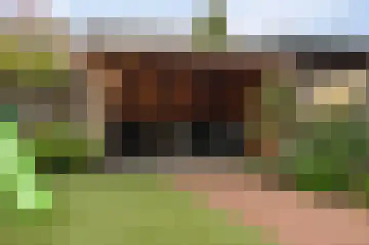 Zandrug 15 Kampen thumbnail 27