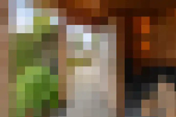 Zandrug 15 Kampen thumbnail 29
