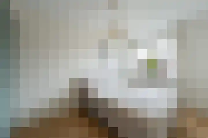 Zandrug 15 Kampen thumbnail 37