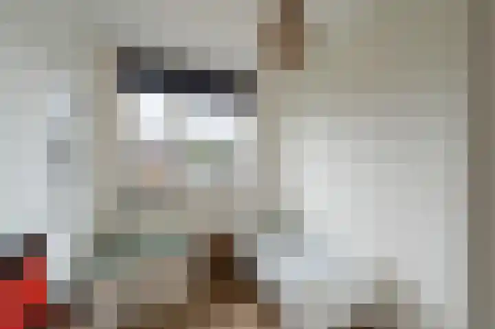 Zandrug 15 Kampen thumbnail 41