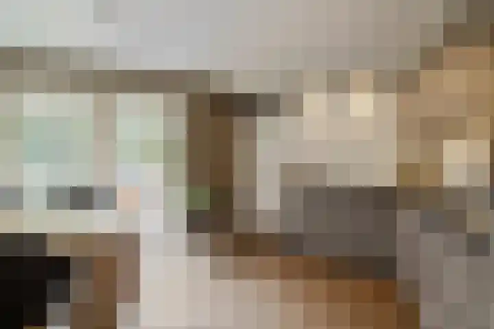 Zandrug 29 Luttenberg thumbnail 13