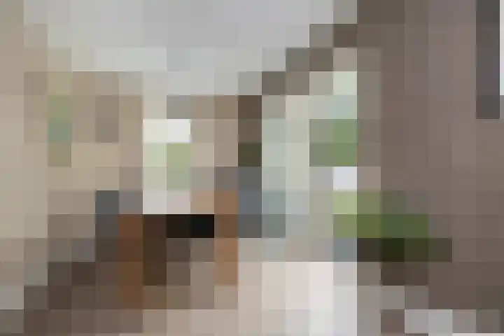 Zandrug 29 Luttenberg thumbnail 14