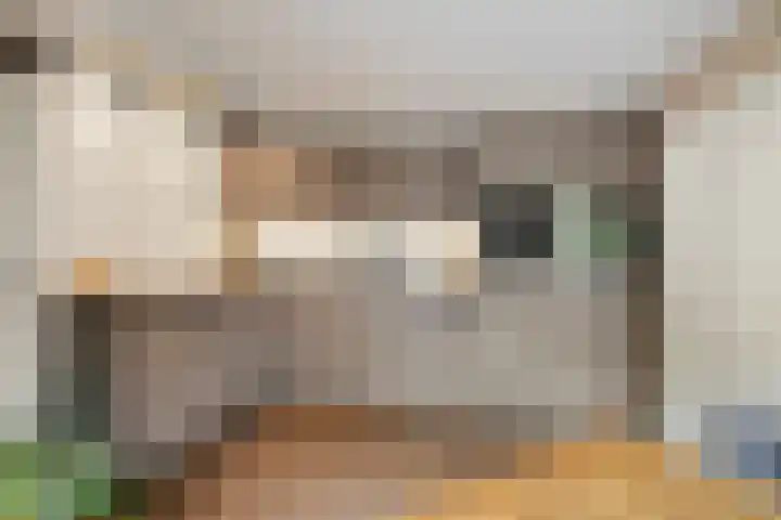Zandrug 29 Luttenberg thumbnail 15