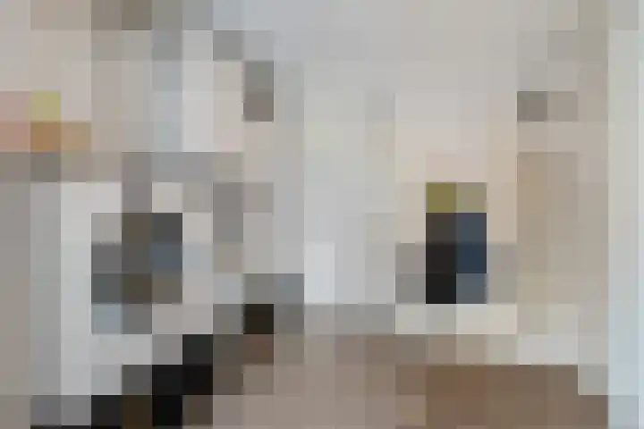 Zandrug 29 Luttenberg thumbnail 17
