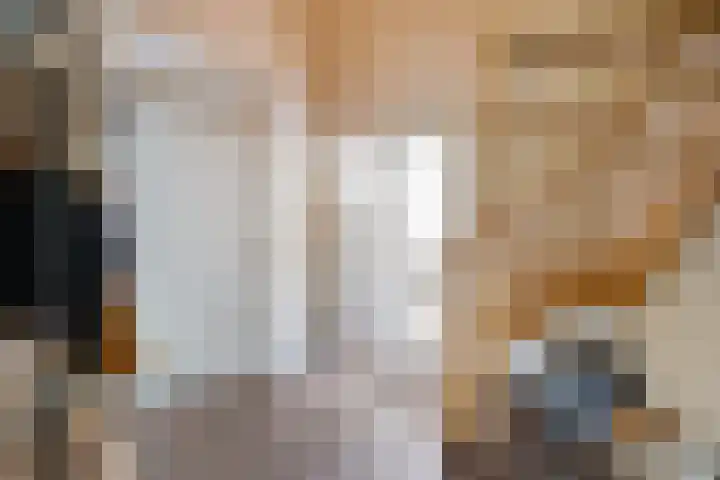 Zandrug 29 Luttenberg thumbnail 21