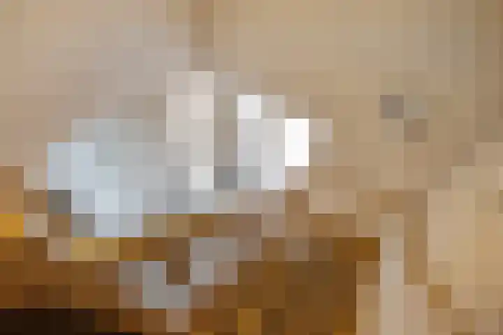 Zandrug 29 Luttenberg thumbnail 22