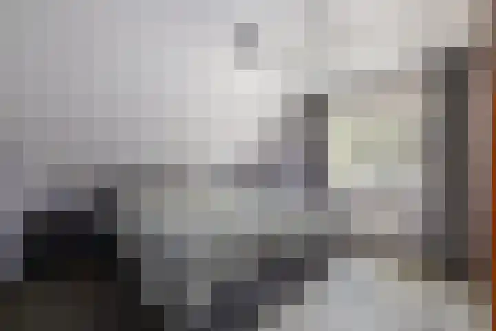Zandrug 29 Luttenberg thumbnail 24