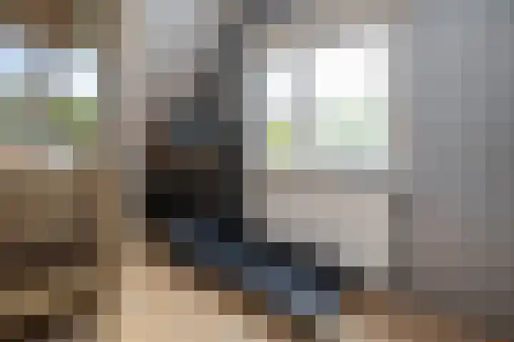 Zandrug 29 Luttenberg thumbnail 29