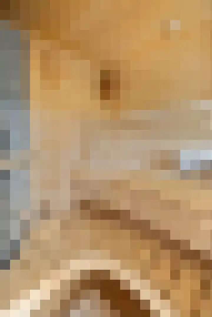 Zandrug 29 Luttenberg thumbnail 30