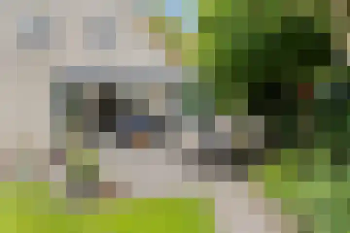 Zandrug 29 Luttenberg thumbnail 36