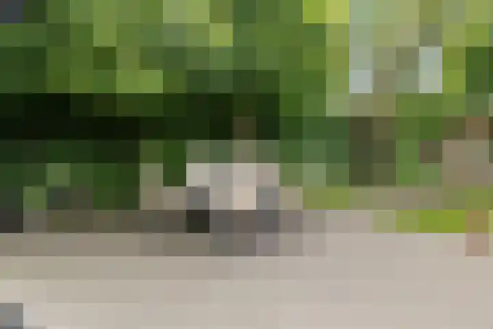 Zandrug 29 Luttenberg thumbnail 37