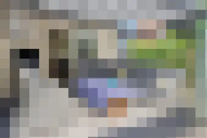 Zandrug 29 Luttenberg thumbnail 38