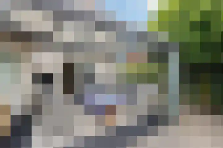 Zandrug 29 Luttenberg thumbnail 39