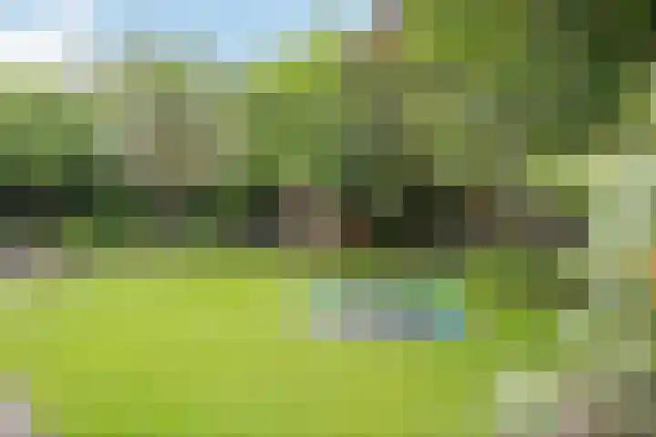 Zandrug 29 Luttenberg thumbnail 40