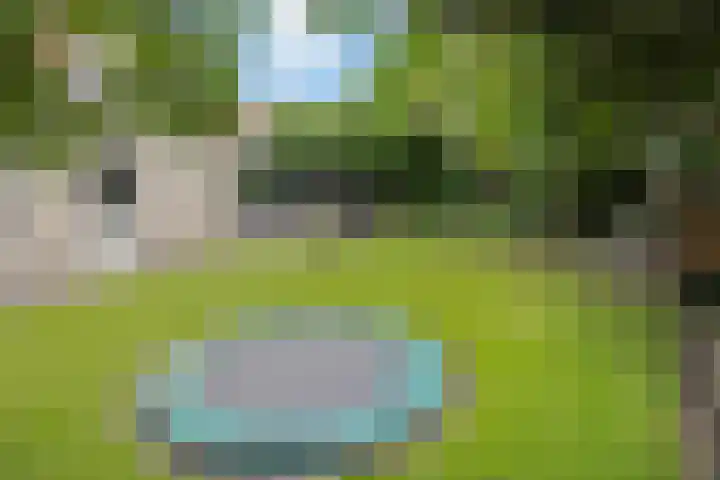 Zandrug 29 Luttenberg thumbnail 41